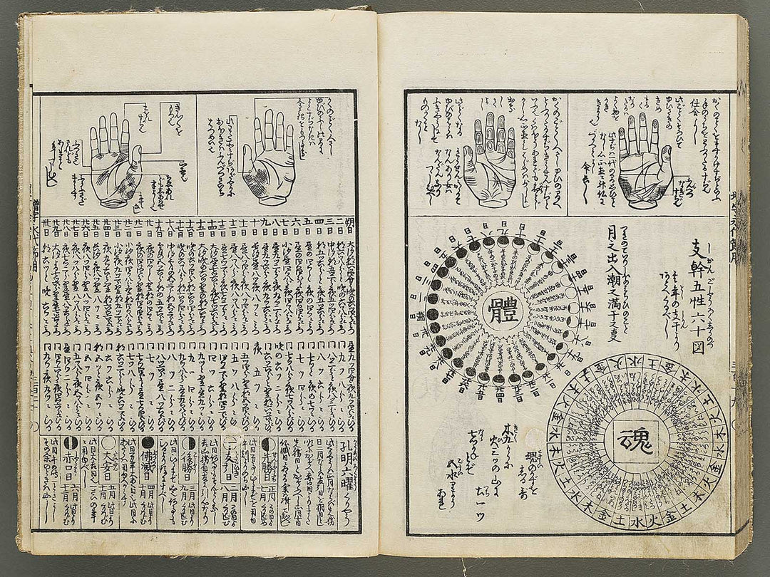 Shinsen dainihon eitai setsuyo mujinzo by Morikawa Yasuyuki / BJ333-256