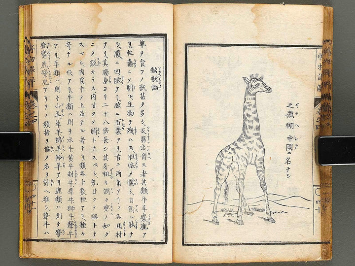 Hakubutsu shinpen yakkai Volume 4 / BJ326-879