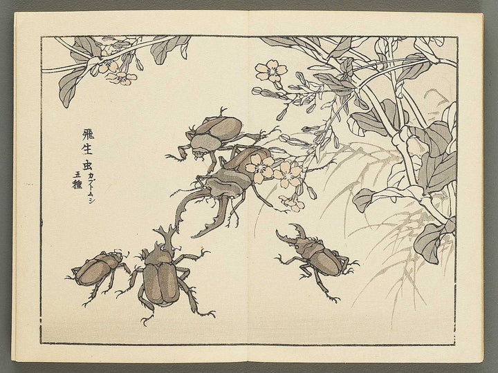 Bairei gafu (Churui no bu) by Kono Bairei / BJ351-120