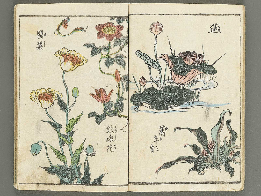 Soka e tehon by Keisai Eisen / BJ348-040
