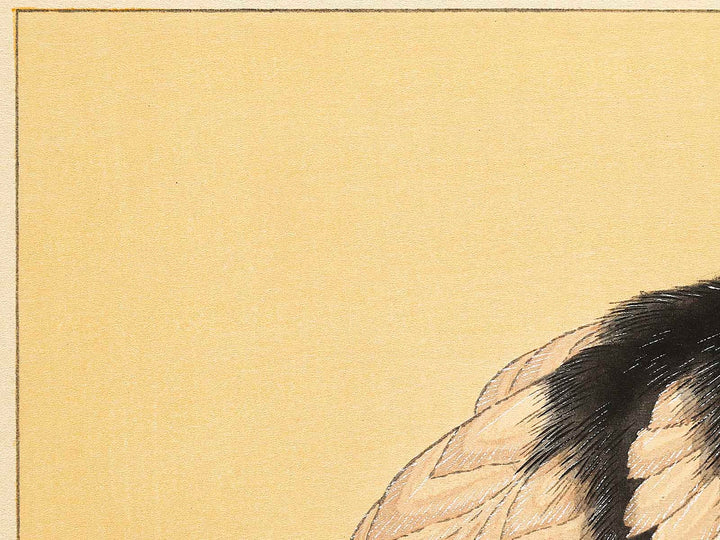 Konotori by Katsushika Hokusai, (Medium print size) / BJ319-634