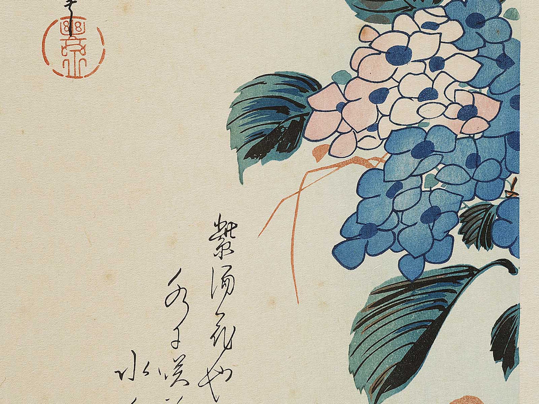 Hydrangea glue cicada by Utagawa Hiroshige, (Medium print size) / BJ328-153