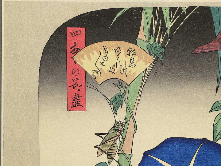 Asagao from the series Shiki no hanazukushi by Utagawa Hiroshige, (Medium print size) / BJ330-547
