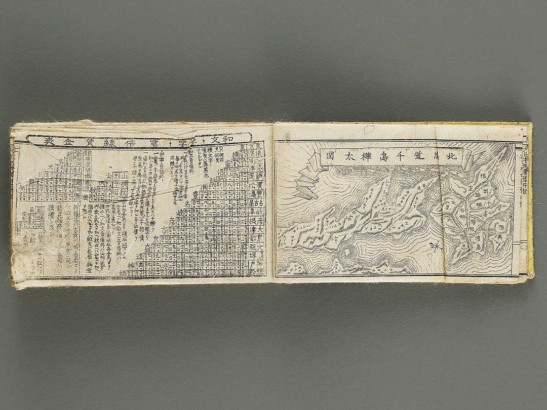 Dainihon chizu dochuki / BJ321-580