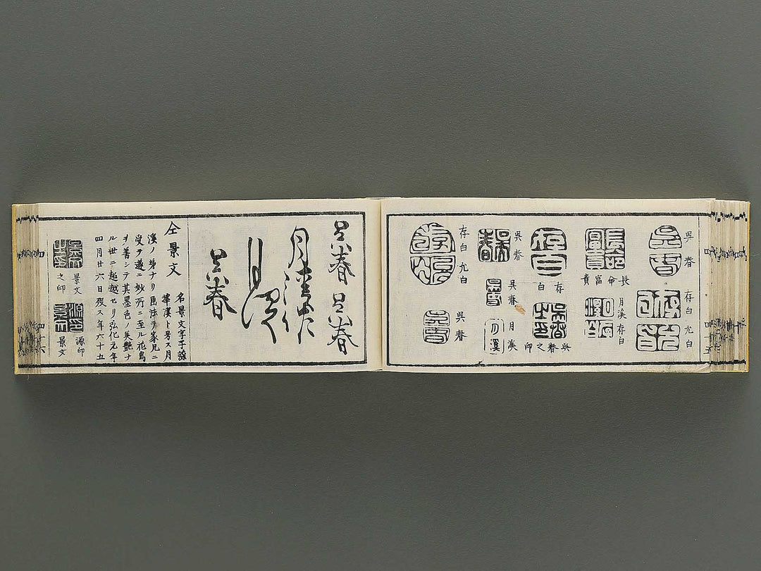 Shoga hikkei meika zensho Volume 4 / BJ348-621