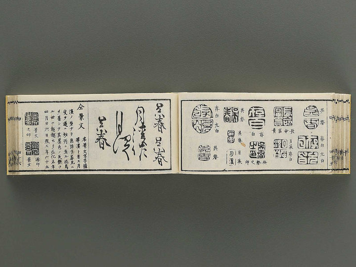 Shoga hikkei meika zensho Volume 4 / BJ348-621