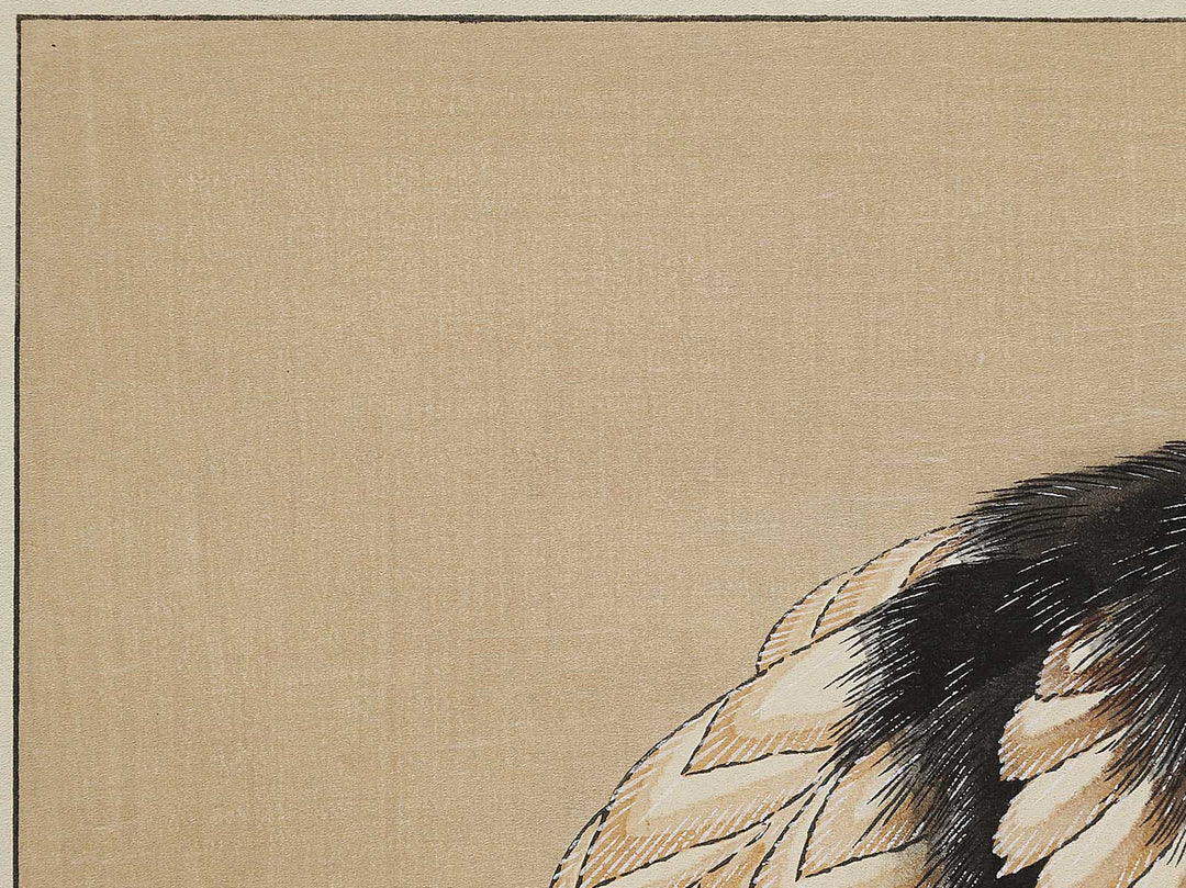 Konotori by Katsushika Hokusai, (Medium print size) / BJ324-975