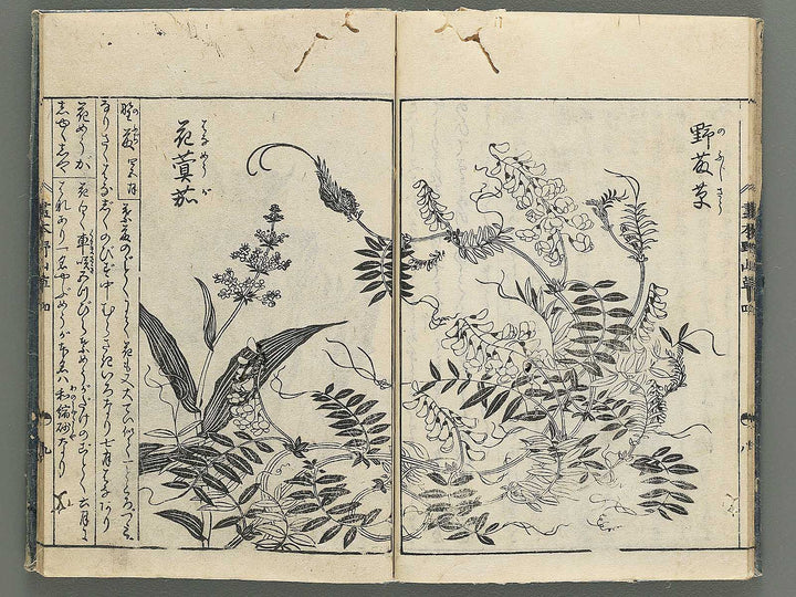 Gahon noyama gusa Volume 4 / BJ346-332