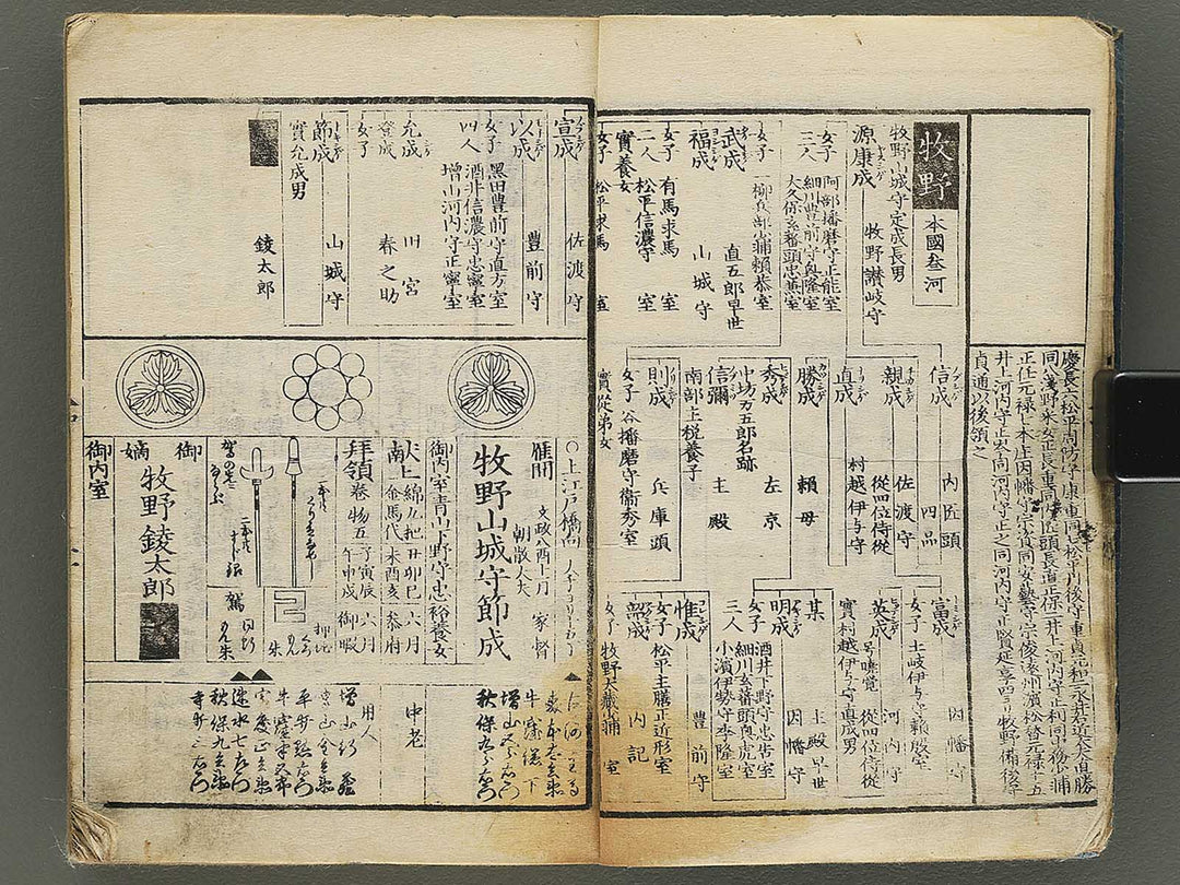 Shinban kaisei tenpo bukan Volume 1 / BJ354-179