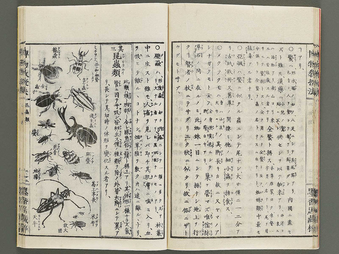 Hakubutsu kyojyuho Volume 3 / BJ341-586