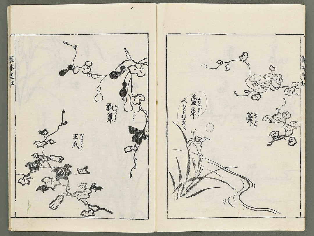 Korin michishirube by Nonomura Chube / BJ351-141