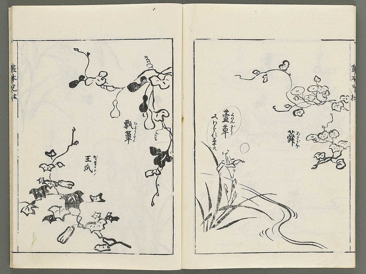 Korin michishirube by Nonomura Chube / BJ351-141