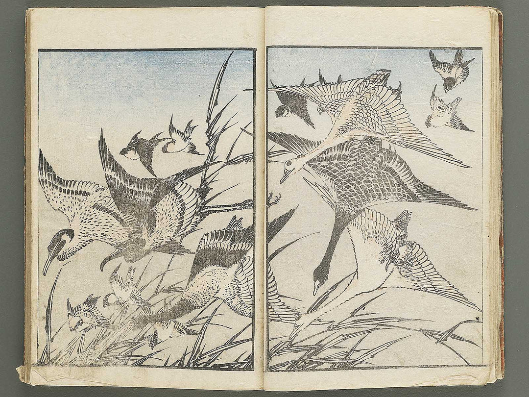 Hokusai gafu (Chu) by Katsushika Hokusai / BJ353-115