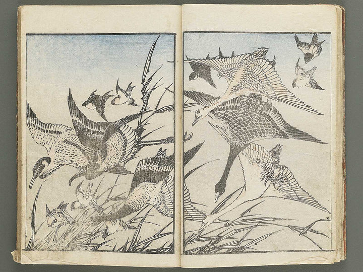 Hokusai gafu (Chu) by Katsushika Hokusai / BJ353-115