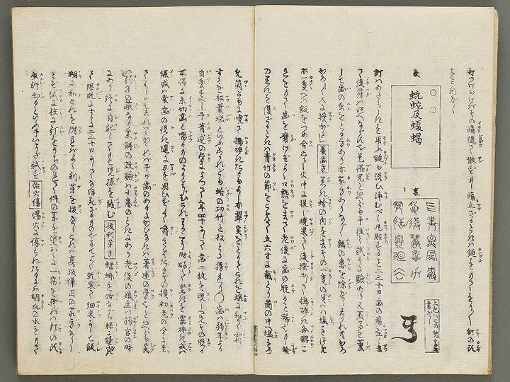 Enseki zasshi Volume 5, (Jo) / BJ329-518