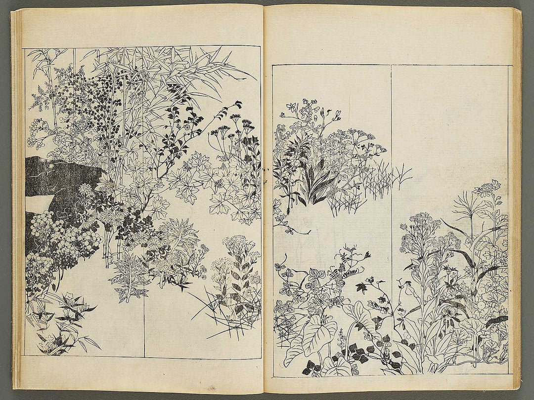 Korin shinsen hyaku zu (Jo) by Ogata Korin / BJ330-701