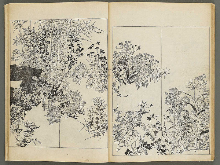 Korin shinsen hyaku zu (Jo) by Ogata Korin / BJ330-701