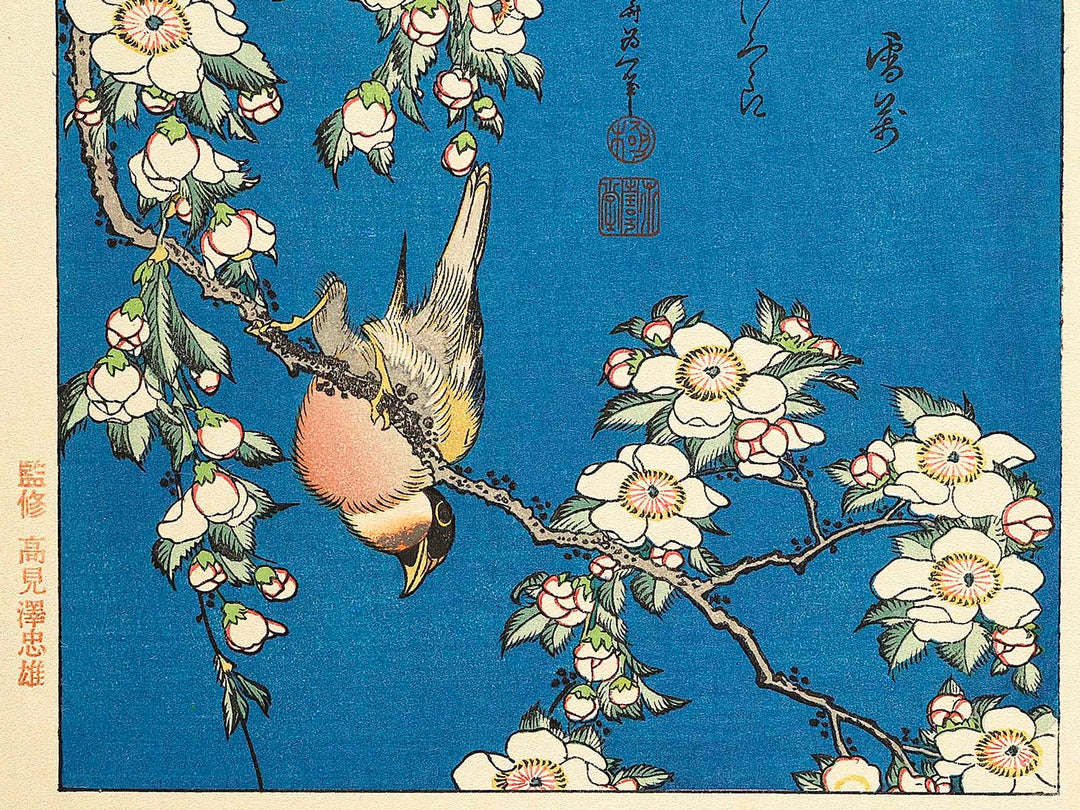 Weeping cherry blossoms against a dark indigo background, capturing the moment a Japanese bullfinch comes to peck at the blossoms. by Katsushika Hokusai, (Medium print size) / BJ319-445