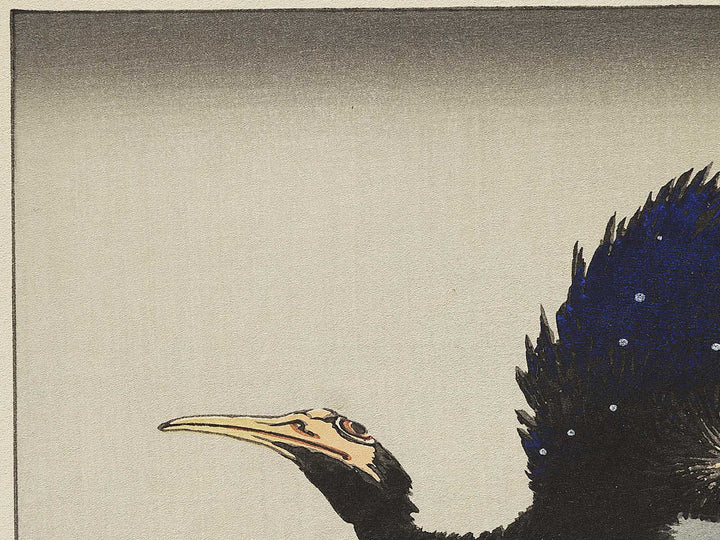 A cormorant stands resolute at the head of a rock by the sea by Katsushika Hokusai, (Medium print size) / BJ321-818