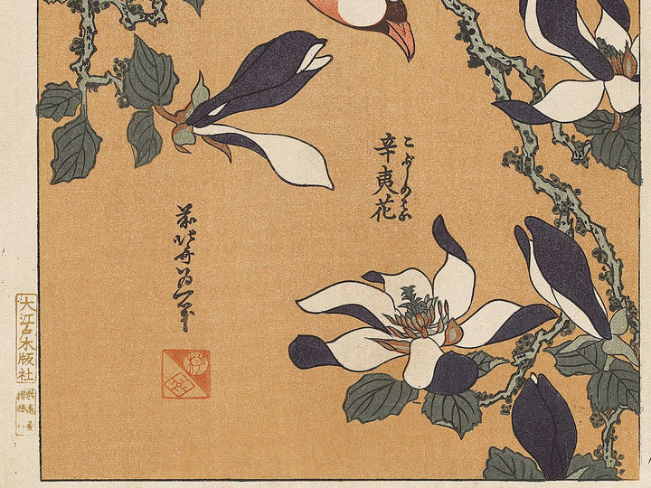 Buncho kobushi no hana by Katsushika Hokusai, (Large print size) / BJ331-674