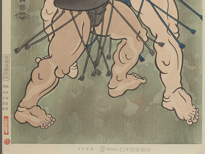 Futahaguro Chiyonofuji from the series Nishiki-e of the Grand Sumo Tournament in Modern Times by Kinoshita Daimon, (Large print size) / BJ355-859