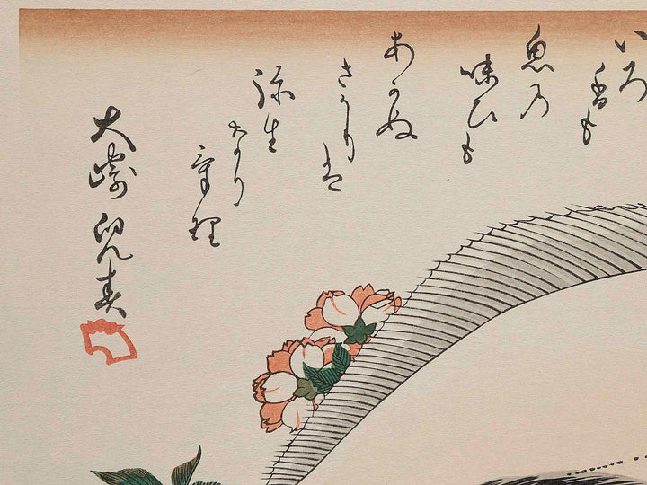 Halibut, Rockfish & Cherry Blossoms from the series the series FISH by Utagawa Hiroshige, (Large print size) / BJ237-664