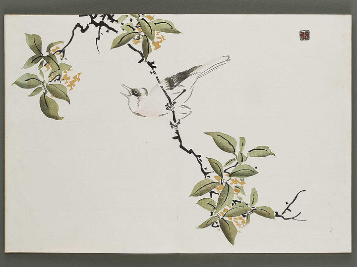 Kajo shugacho Volume 4 by Matsuda Kajo / BJ333-508