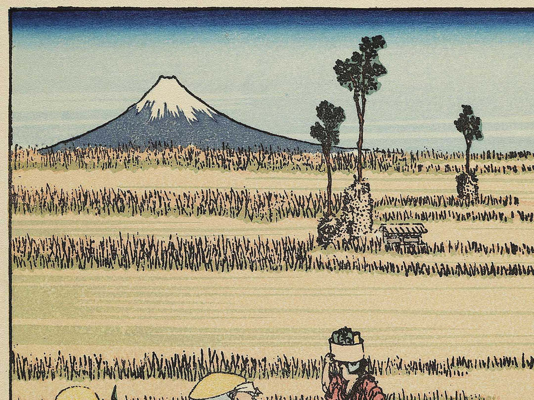 Hosaku no fuji from the series One Hundred Views of Mount Fuji by Katsushika Hokusai, (Medium print size) / BJ319-459