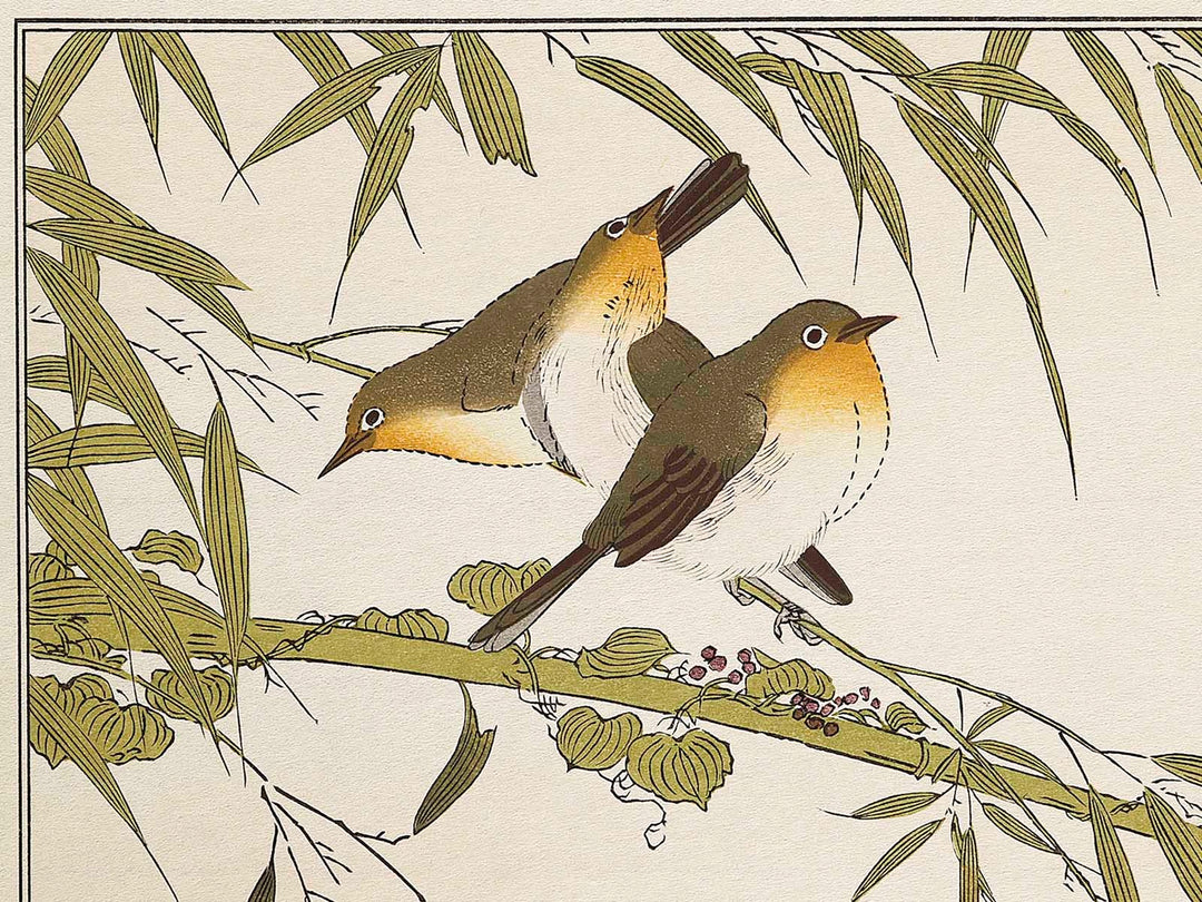 Long tailed Tit and White-eyes from the series Momochidori kyokaawase by Kitagawa Utamaro, (Large print size) / BJ328-006