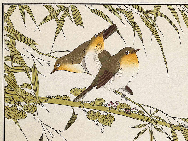 Long tailed Tit and White-eyes from the series Momochidori kyokaawase by Kitagawa Utamaro, (Large print size) / BJ328-006