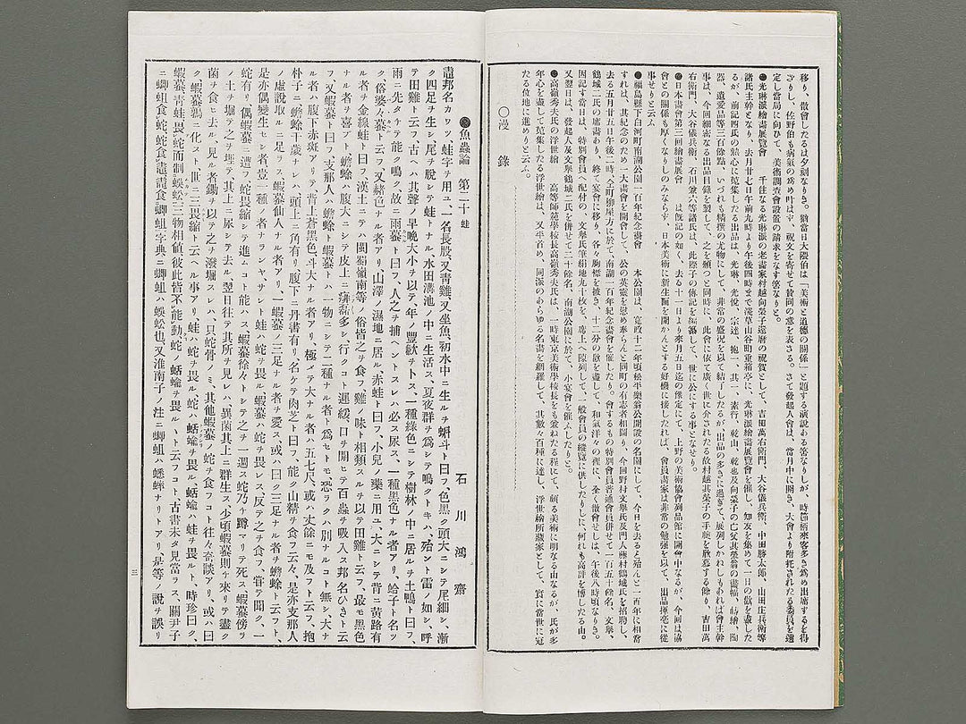 Kaiga soshi 161kan / BJ317-345