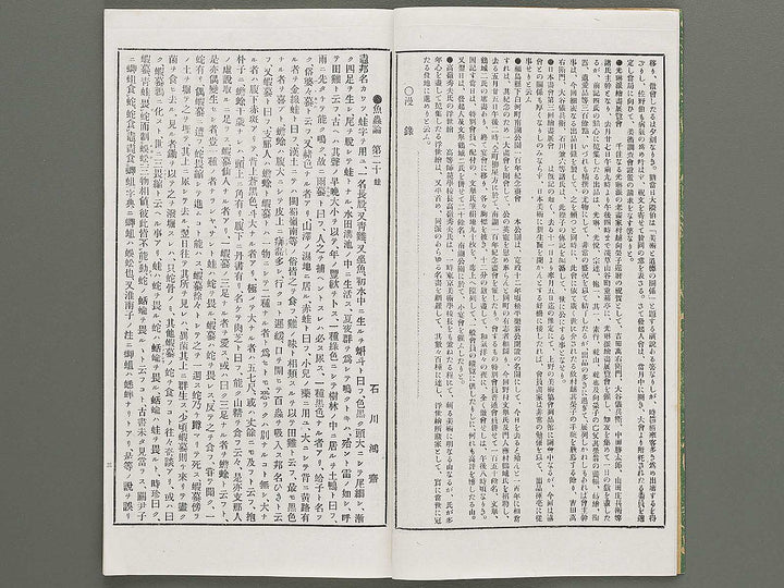 Kaiga soshi 161kan / BJ317-345