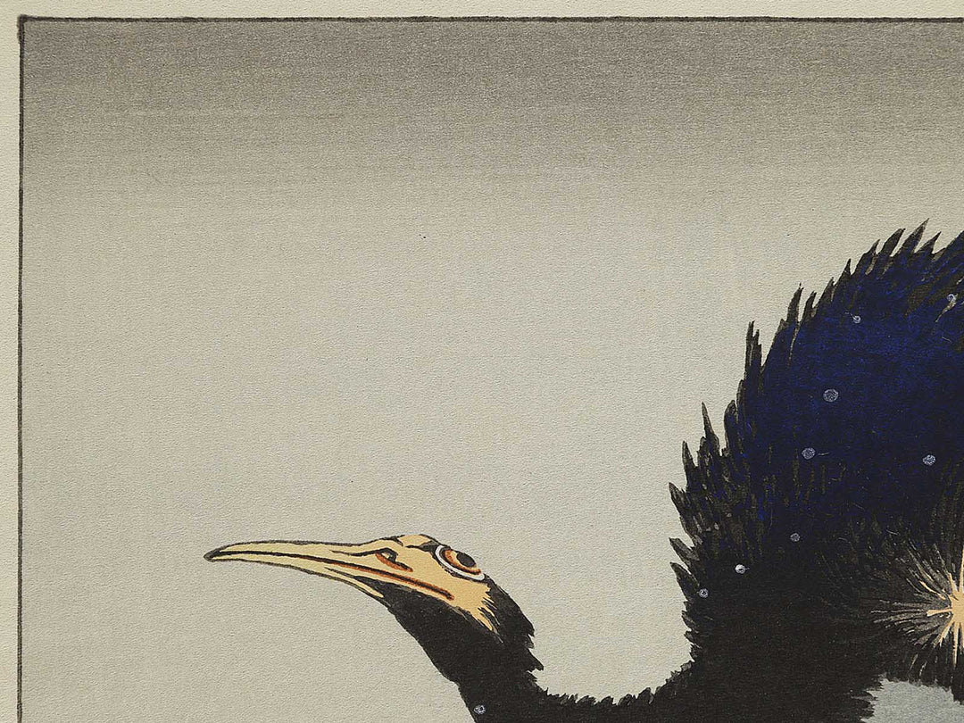 A cormorant stands resolute at the head of a rock by the sea by Katsushika Hokusai, (Medium print size) / BJ325-017