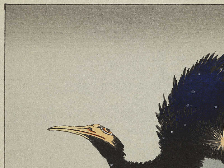 A cormorant stands resolute at the head of a rock by the sea by Katsushika Hokusai, (Medium print size) / BJ325-017