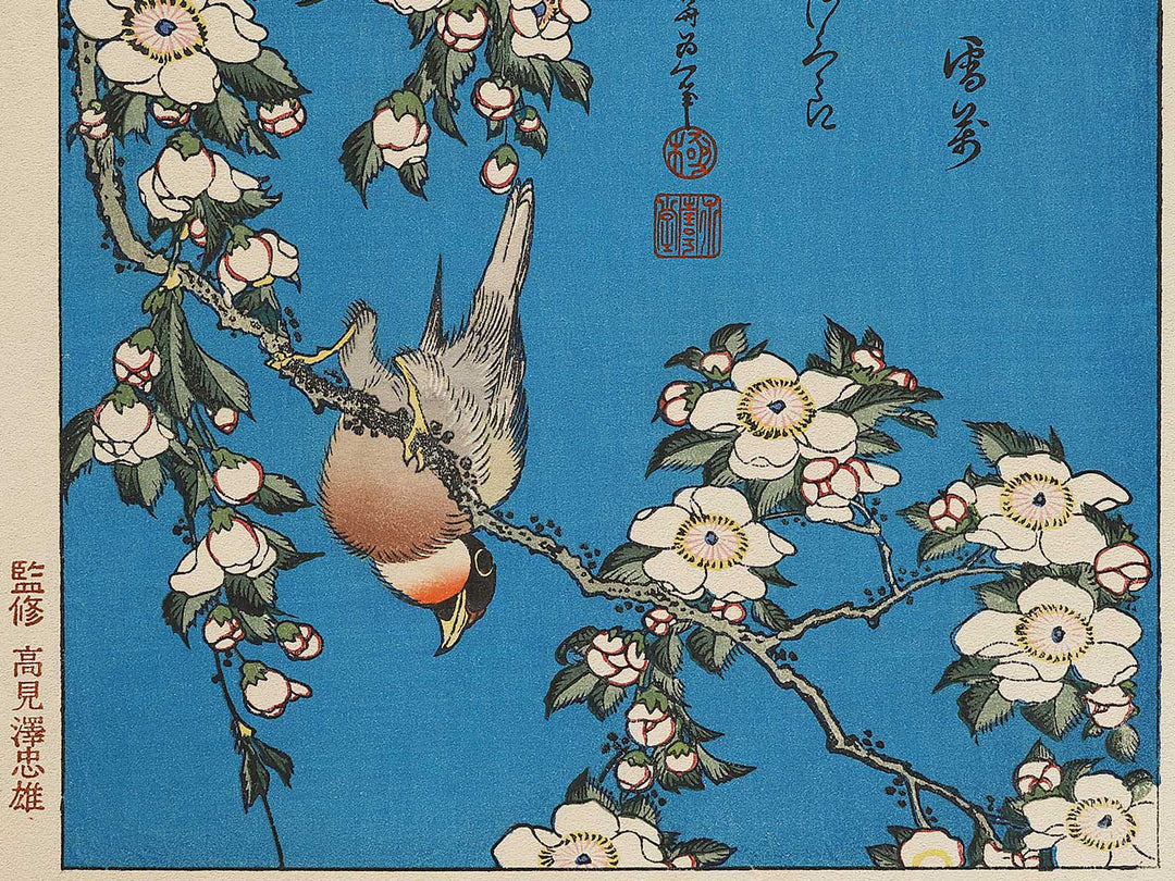 Weeping cherry blossoms against a dark indigo background, capturing the moment a Japanese bullfinch comes to peck at the blossoms. by Katsushika Hokusai, (Medium print size) / BJ321-643