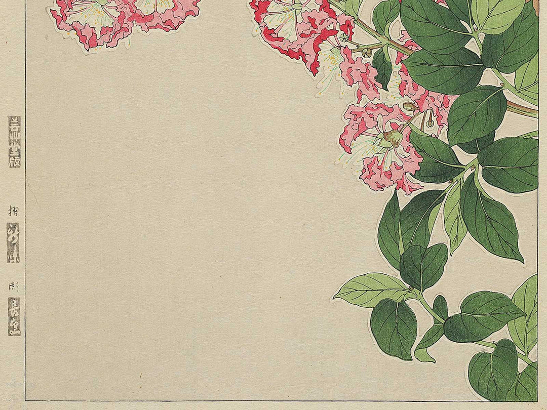 Sarusuberi by Kawarazaki Shodo, (Large print size) / BJ348-005