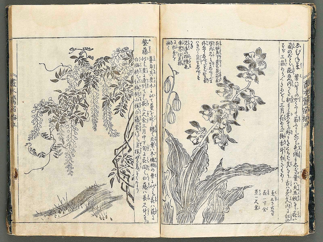 Ehon oushukubai Volume 5 by Tachibana Morikuni / BJ327-691