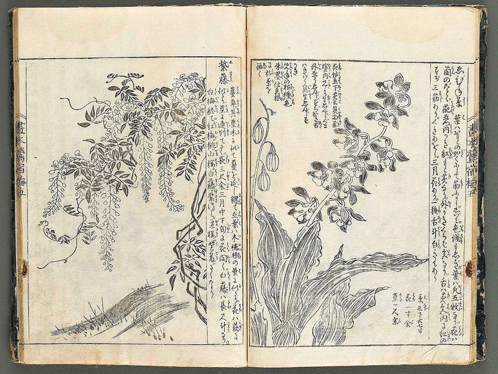 Ehon oushukubai Volume 5 by Tachibana Morikuni / BJ327-691