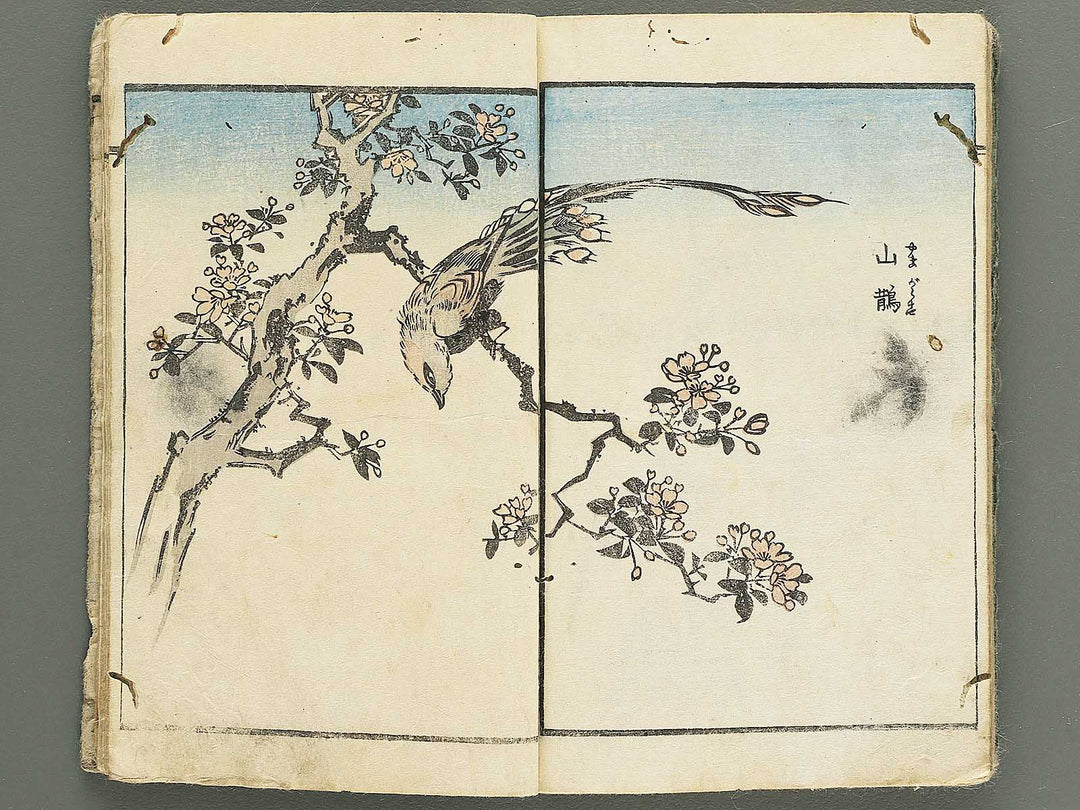 Yanagawa gafu (Kacho bu) by Yanagawa Shigenobu / BJ348-964