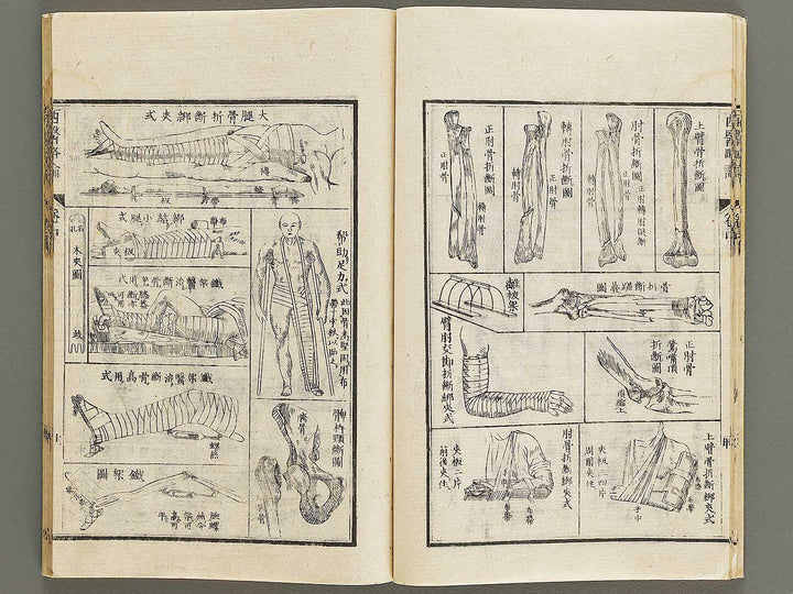 Seii ryakuron (Chu, Jo) / BJ326-319