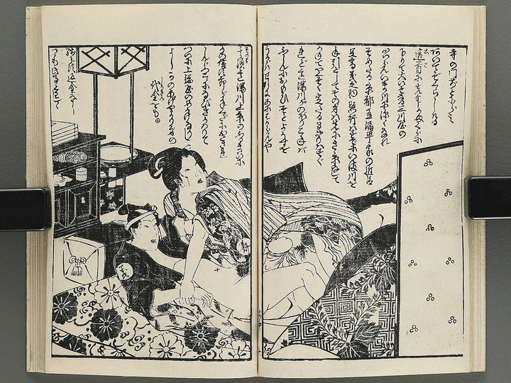 Insho kaiko ki Volume 6, (Chu) by Utagawa Yoshikazu / BJ345-786