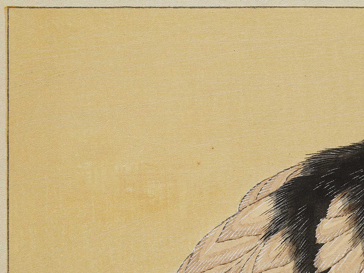 Konotori by Katsushika Hokusai, (Medium print size) / BJ327-446