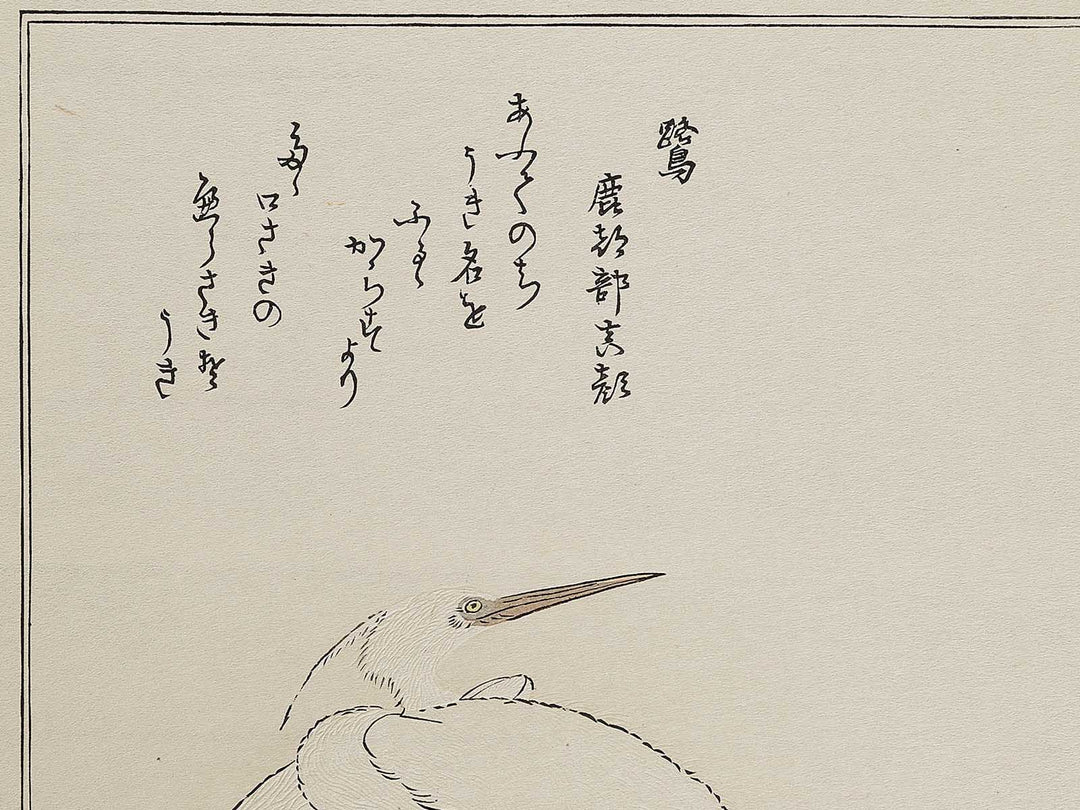 Cormorant and Heron from the series Momochidori kyoka awase by Kitagawa Utamaro, (Large print size) / BJ328-041