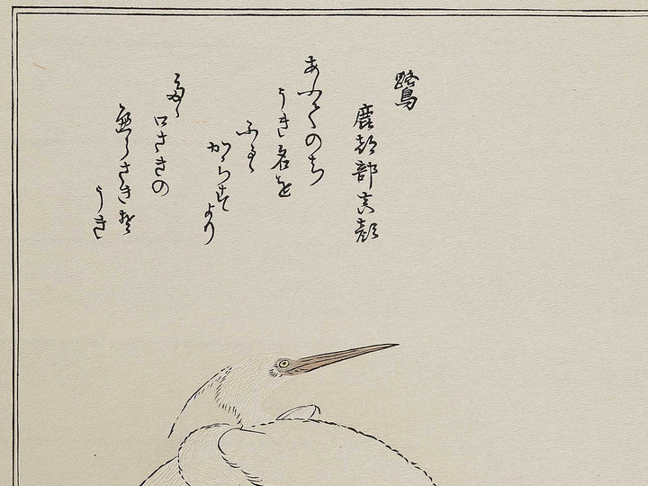 Cormorant and Heron from the series Momochidori kyoka awase by Kitagawa Utamaro, (Large print size) / BJ328-041