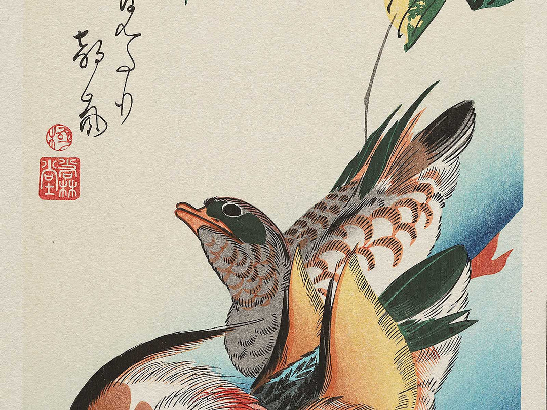 Mandarin duck  by Utagawa Hiroshige, (Medium print size) / BJ304-591