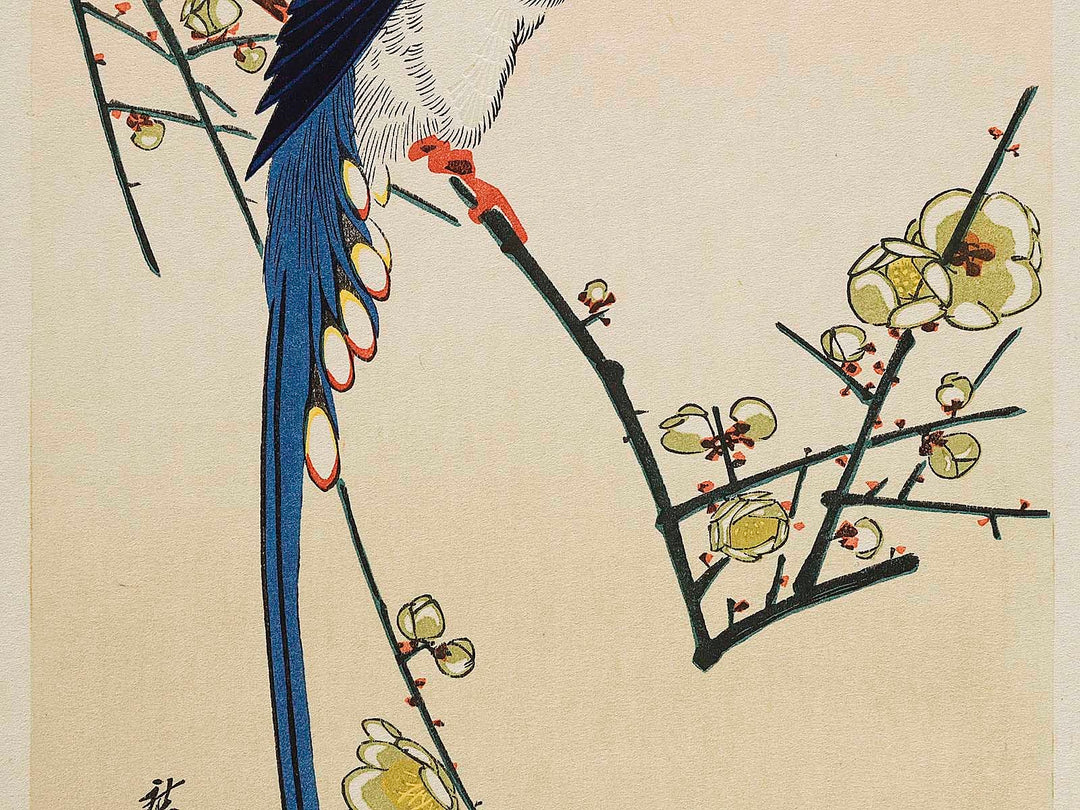 White plum blossoms & long tailed cock by Utagawa Hiroshige, (Medium print size) / BJ328-090