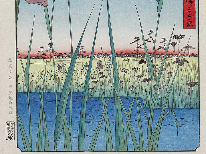 Horikiri Iris Garden from the series One Hundred Famous Views of Edo by Utagawa Hiroshige, (Large print size) / BJ331-541
