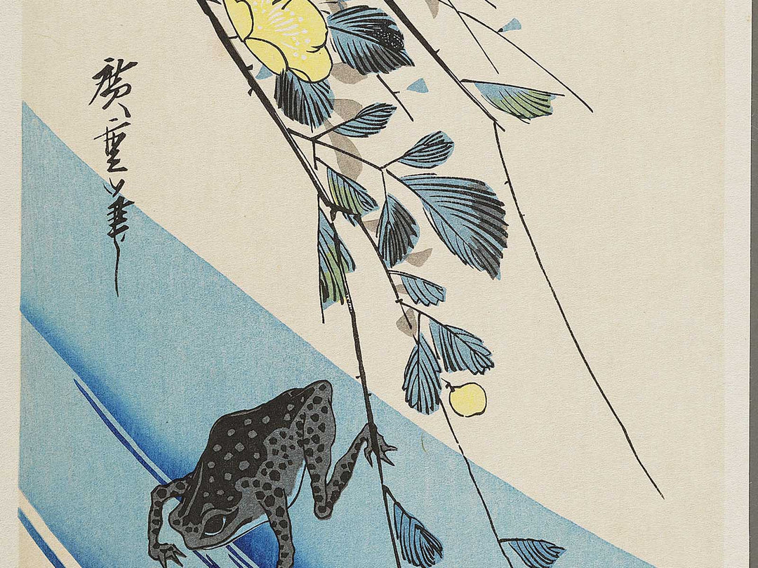 Japanese mountain rose and frog by Utagawa Hiroshige, (Medium print size) / BJ328-069