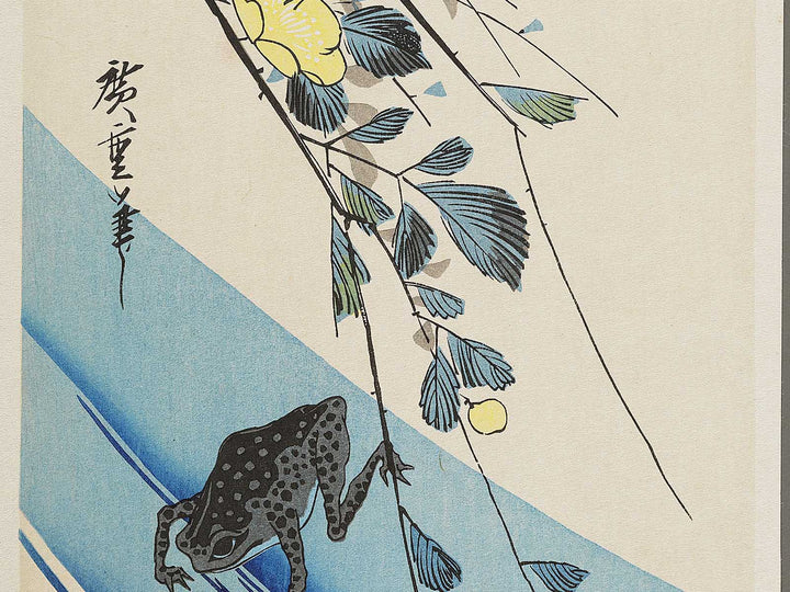 Japanese mountain rose and frog by Utagawa Hiroshige, (Medium print size) / BJ328-069
