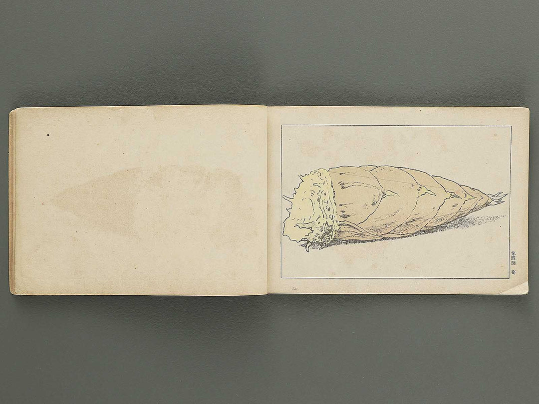 Koto shogaku enpitsu gacho / BJ349-356